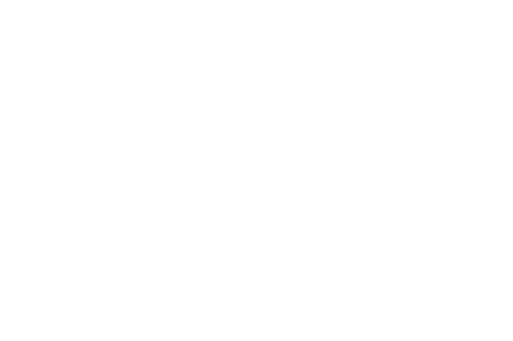 Four Seasons
